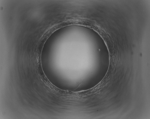 X0000081431206200701120910