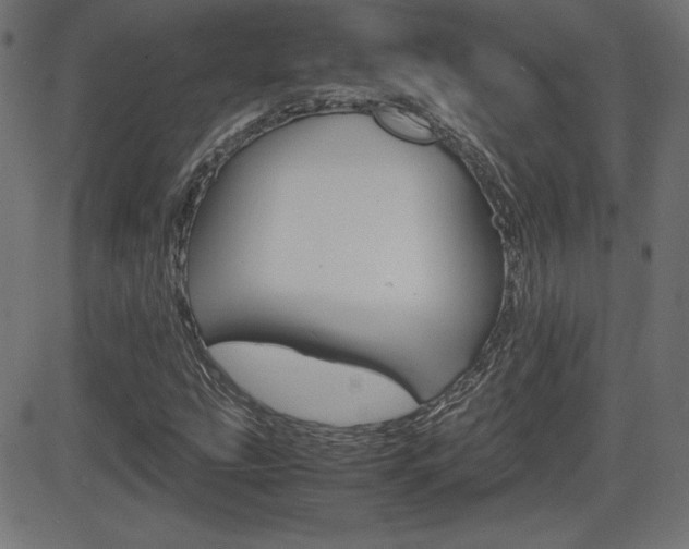 X0000081431207200701120910