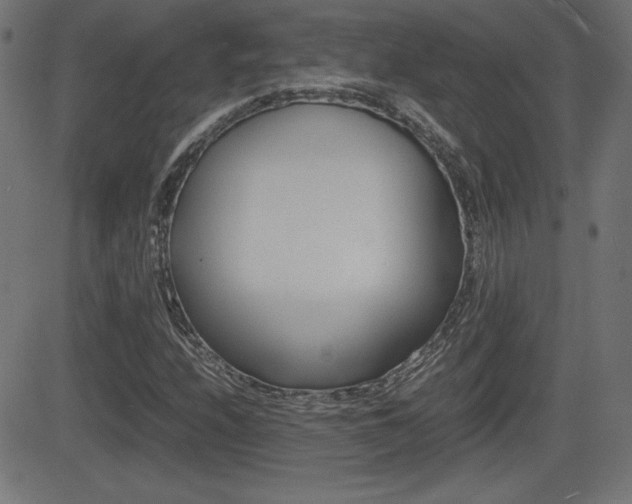 X0000081431208200701120910
