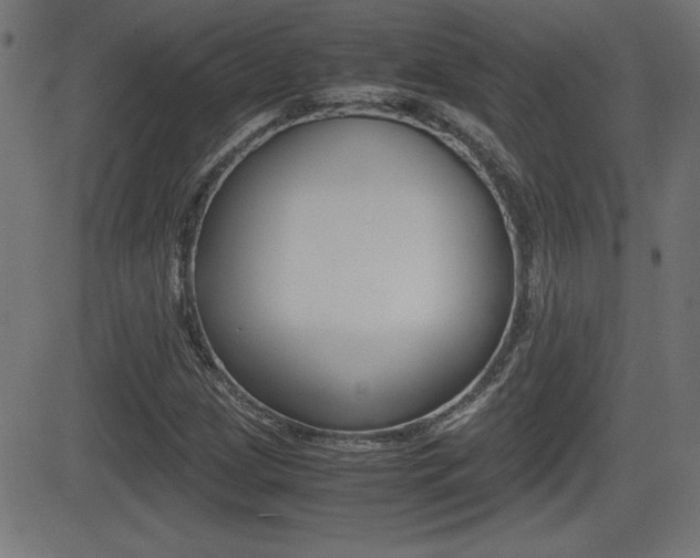 X0000081431209200701120910