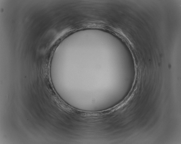 X0000081431211200701120910