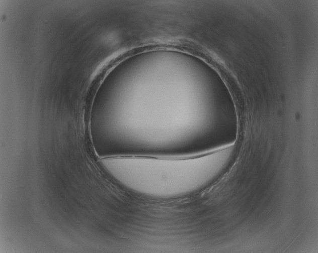 X0000081431214200701120910