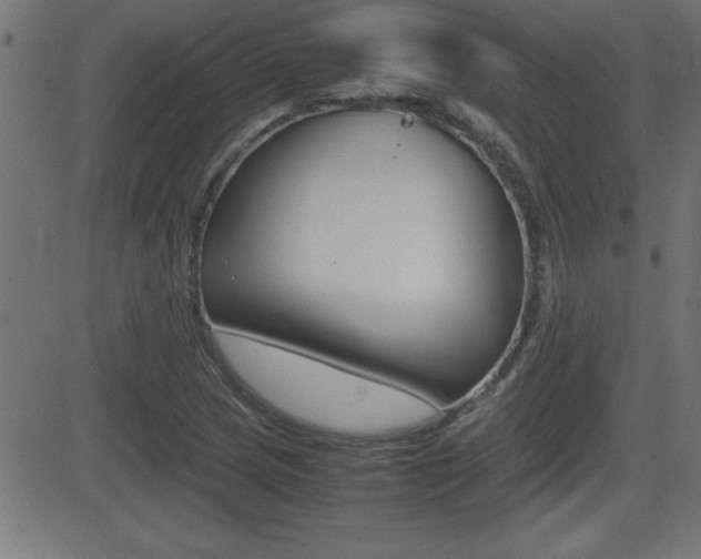 X0000081431217200701120910