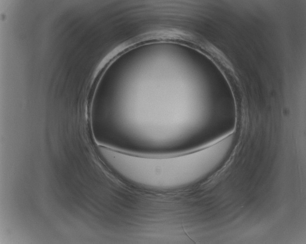 X0000081431226200701120911