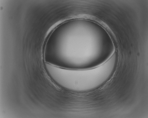 X0000081431230200701120911