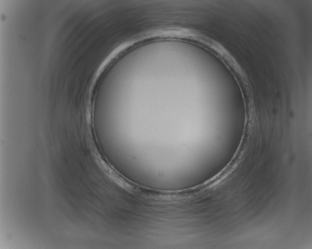 X0000081431232200701120911