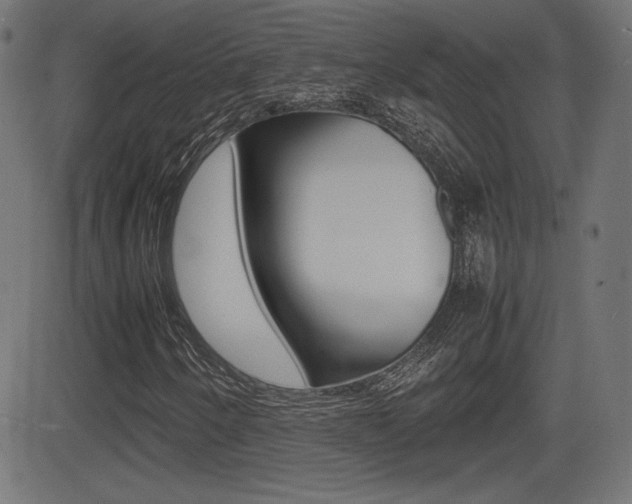 X0000081431250200701120910