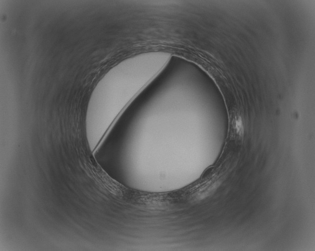 X0000081431252200701120910