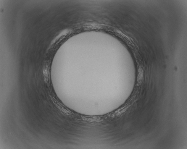 X0000081431254200701120910