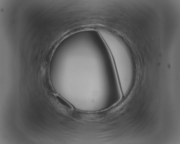 X0000081431257200701120910