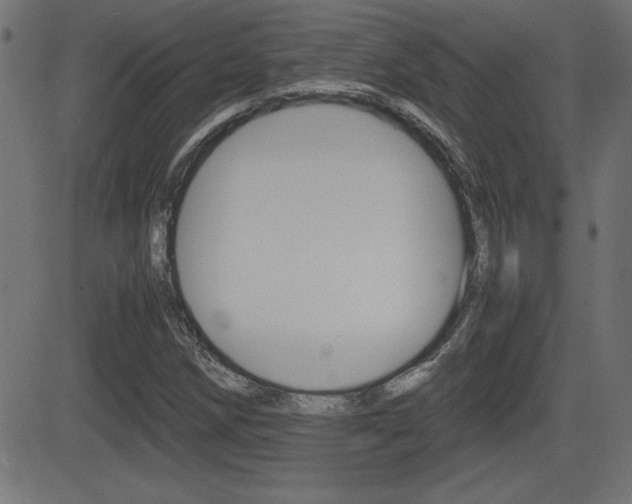 X0000081431258200701120910