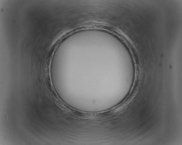 X0000081431259200701120910