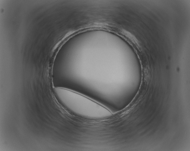 X0000081431260200701120910