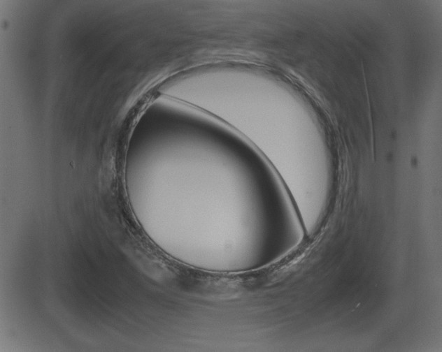 X0000081431261200701120910