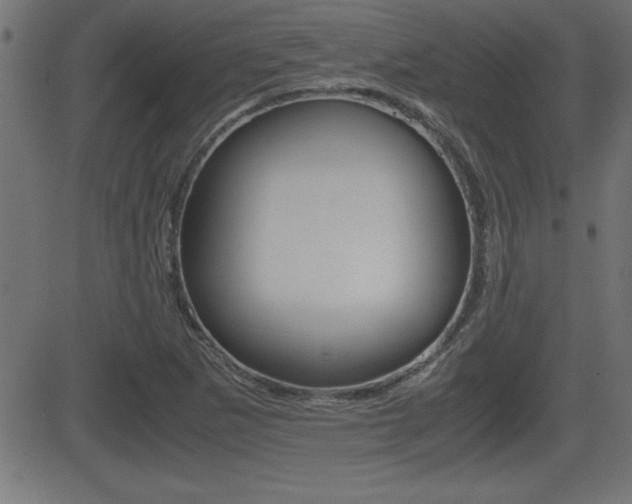X0000081431265200701120910