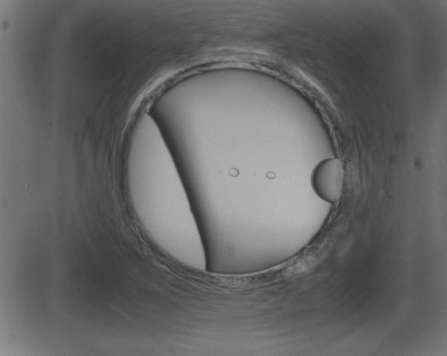 X0000081431267200701120910