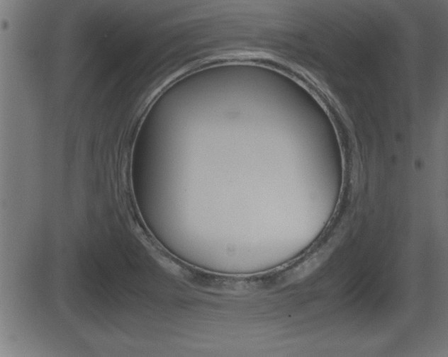 X0000081431273200701120910