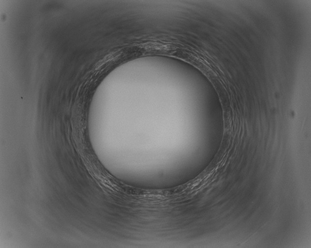 X0000081431297200701120909