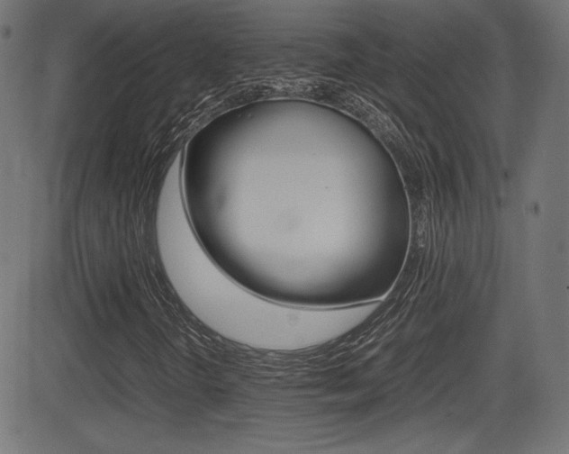 X0000081431298200701120909