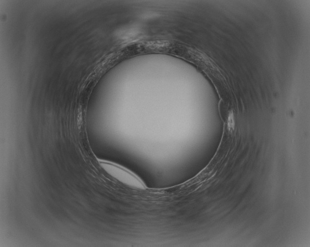 X0000081431299200701120909