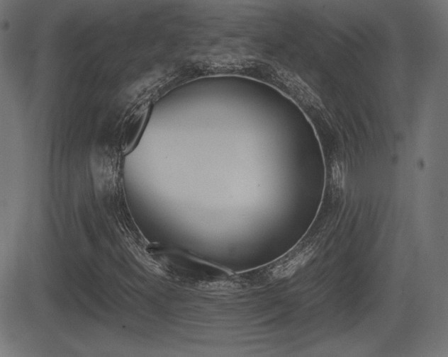 X0000081431300200701120909