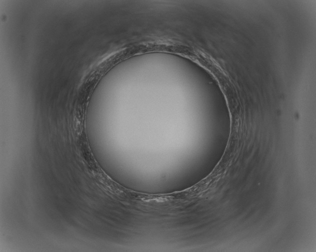 X0000081431303200701120909