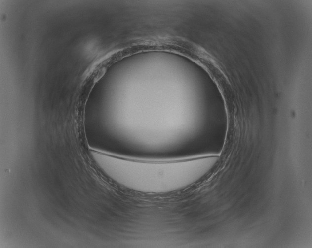 X0000081431304200701120909