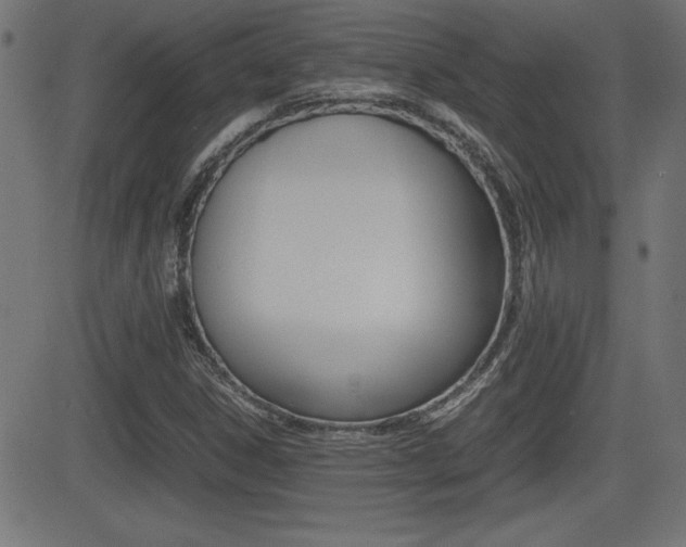 X0000081431306200701120909