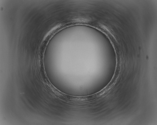 X0000081431307200701120909