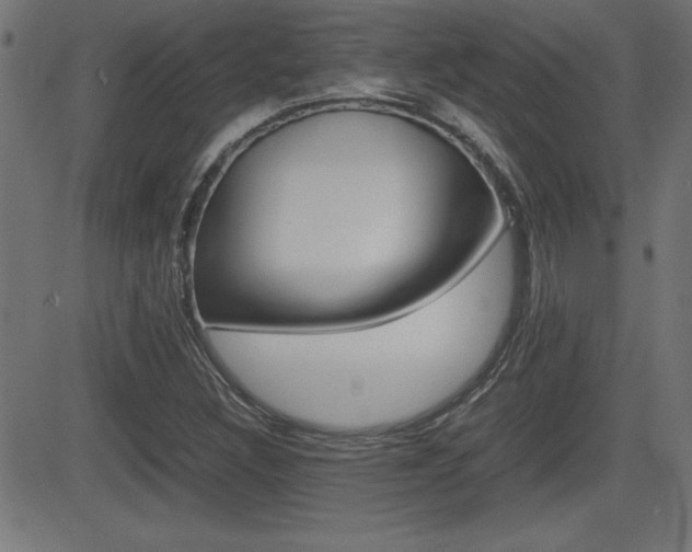 X0000081431308200701120909