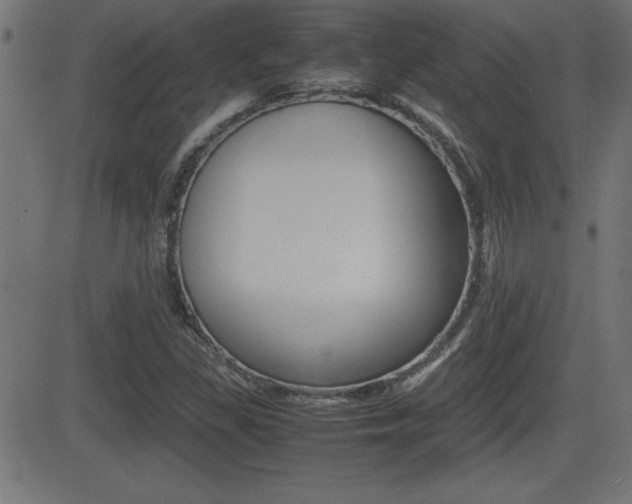 X0000081431309200701120909