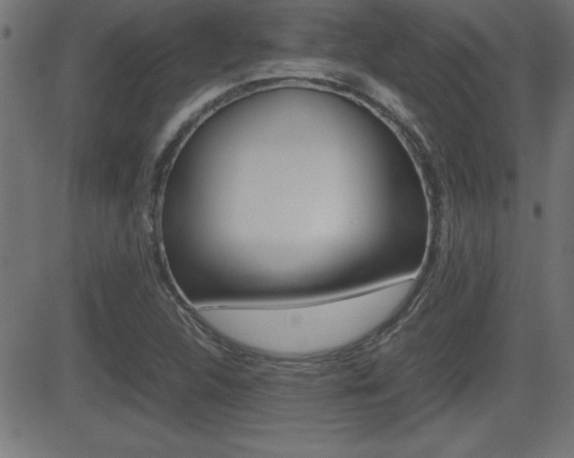 X0000081431312200701120909