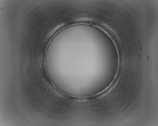 X0000081431313200701120909