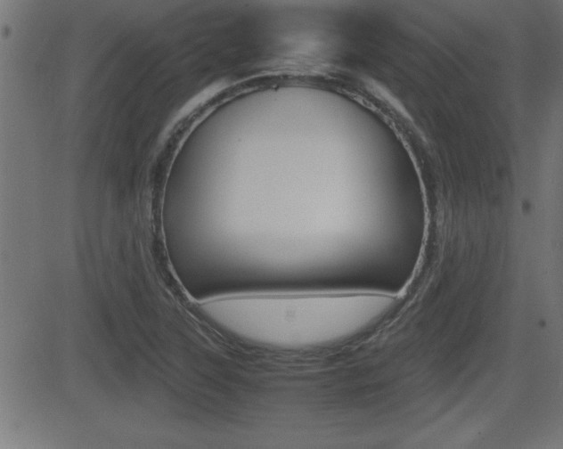 X0000081431315200701120909