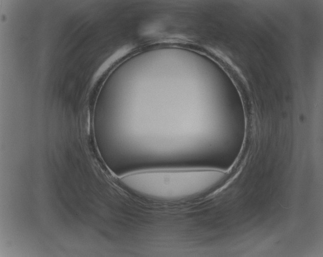 X0000081431317200701120909