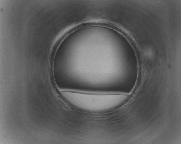 X0000081431319200701120909