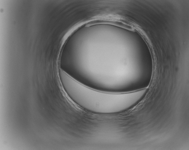 X0000081431344200701120909