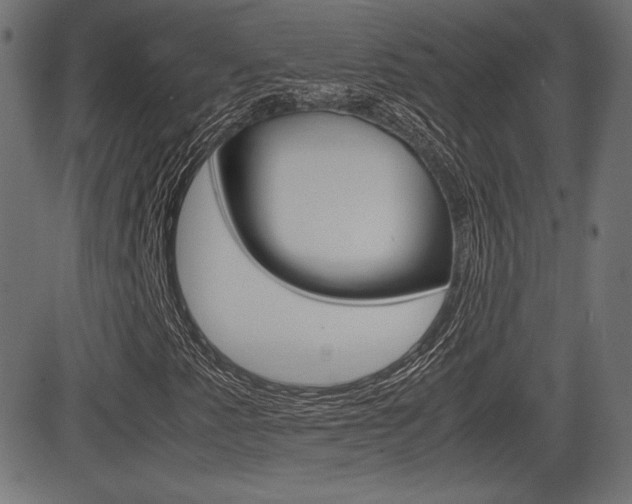 X0000081431345200701120909