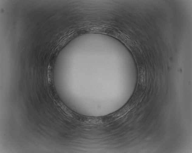 X0000081431346200701120909