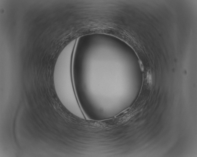 X0000081431348200701120909