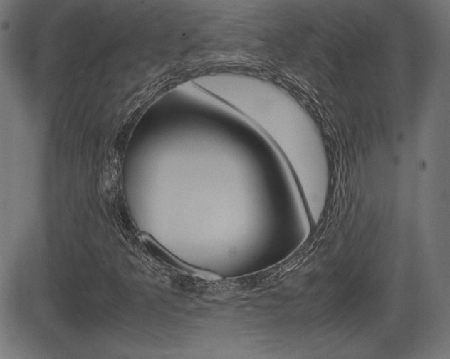 X0000081431349200701120909