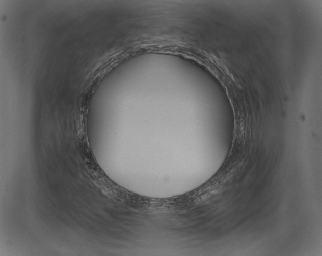 X0000081431350200701120909