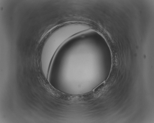 X0000081431352200701120908