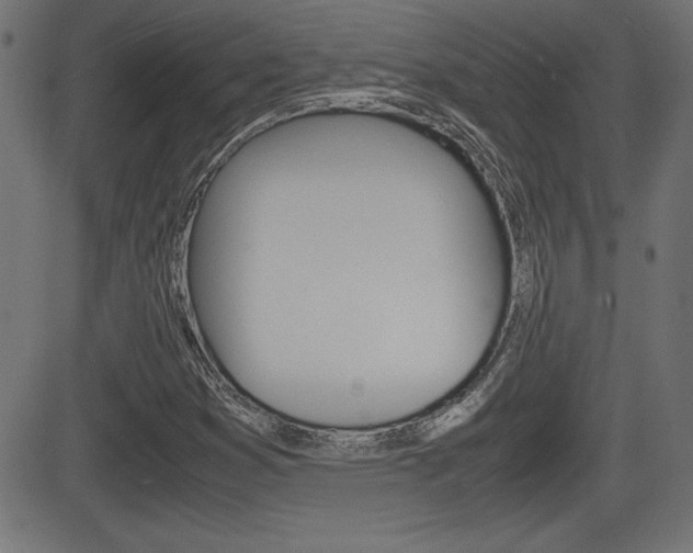 X0000081431353200701120908