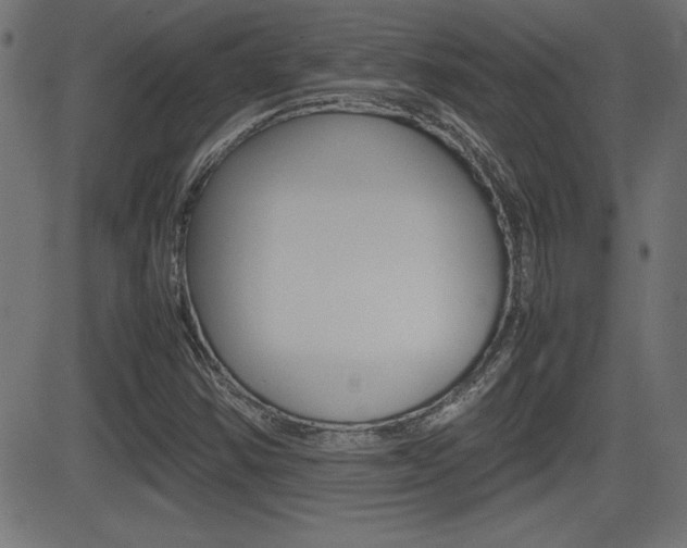 X0000081431354200701120908
