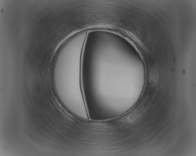 X0000081431356200701120908