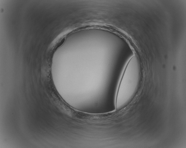 X0000081431359200701120908