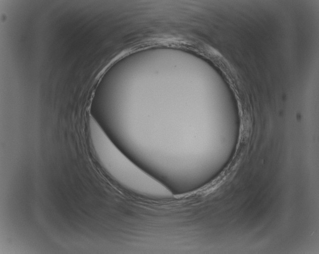X0000081431361200701120908