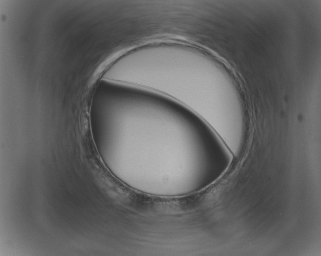 X0000081431363200701120908