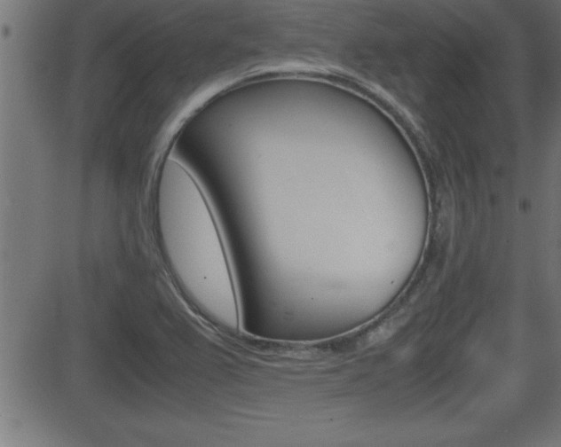 X0000081431367200701120908